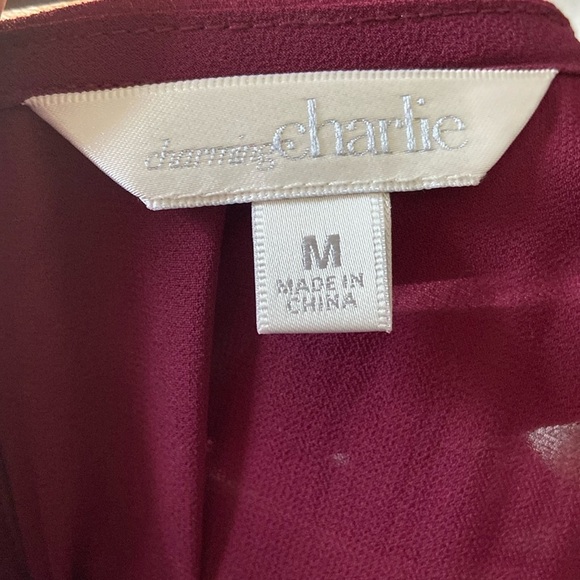 Charming Charlie Maroon Sleeveless Knee Length Shift Dress - Picture 6 of 7